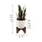Flora Bunda® 12.5" Snake Plant in Ceramic Planter with Stand